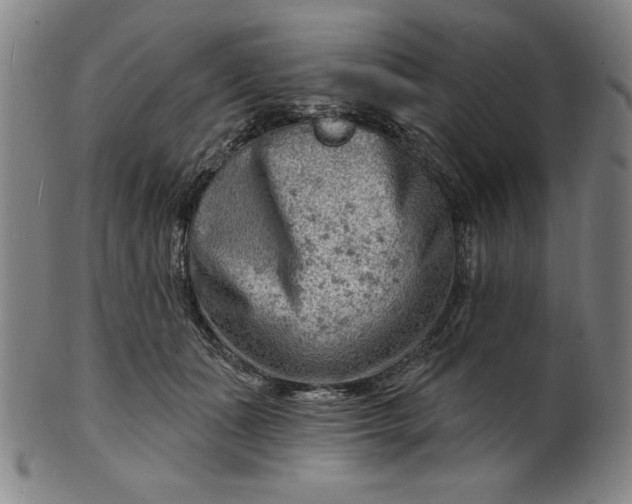 X0000101470511200807211339