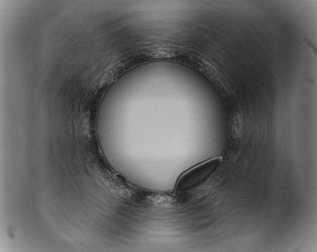 X0000101470512200807211339