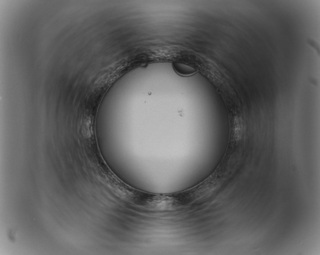 X0000101470514200807211339