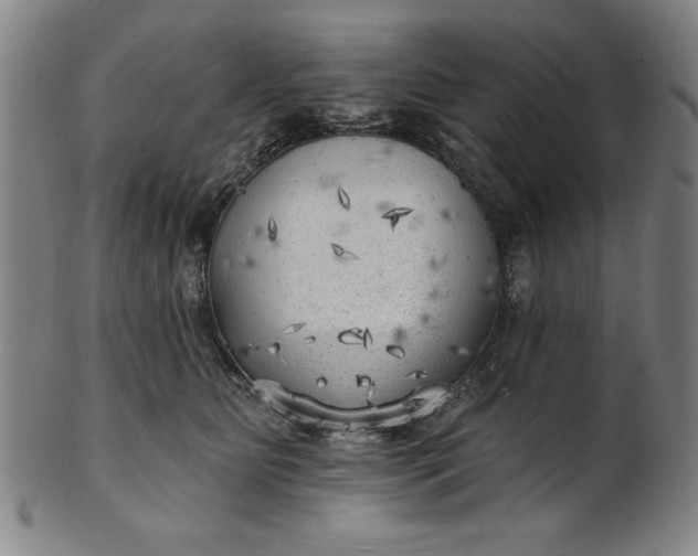 X0000101470515200807211339