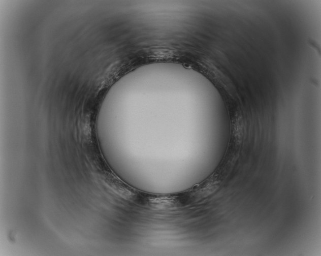 X0000101470516200807211339