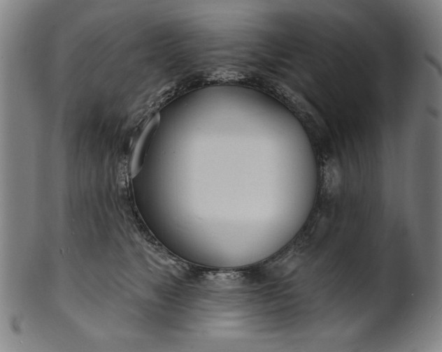 X0000101470517200807211339