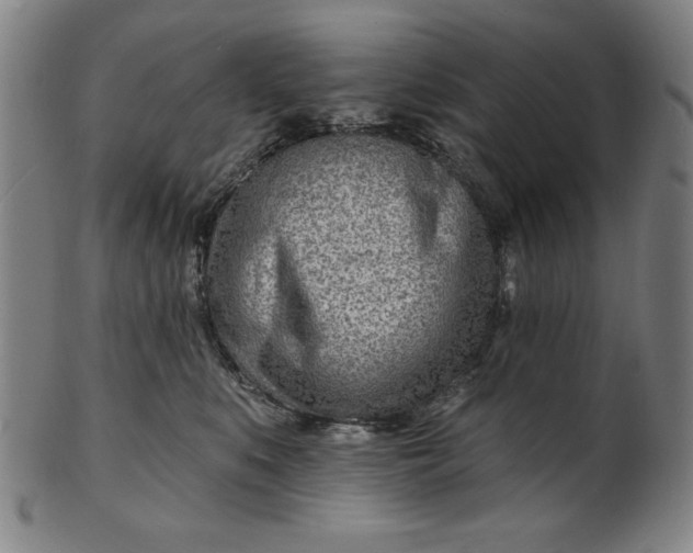 X0000101470519200807211339