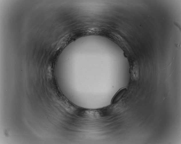 X0000101470520200807211339