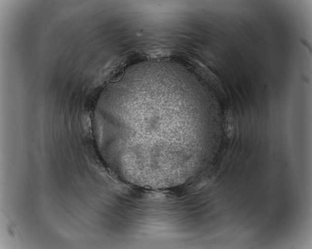 X0000101470523200807211339