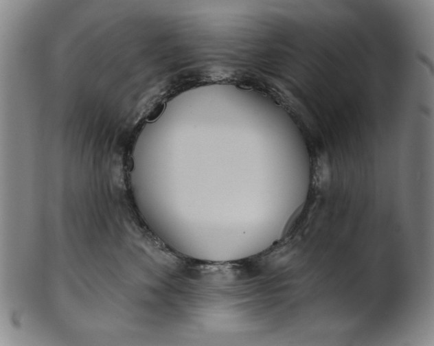 X0000101470524200807211339