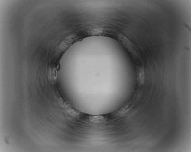 X0000101470525200807211339