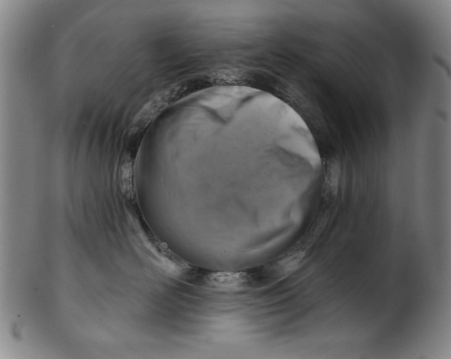 X0000101470526200807211339