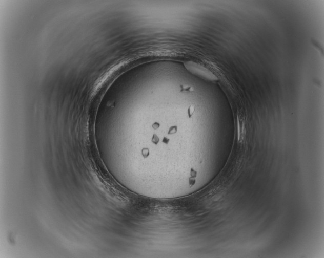 X0000101470531200807211338