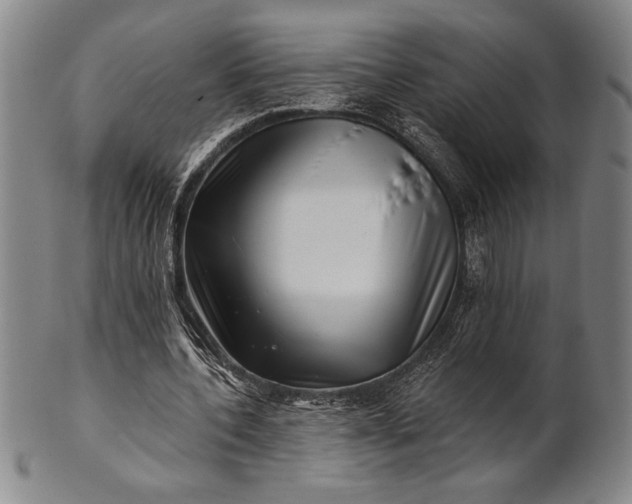 X0000101470532200807211338