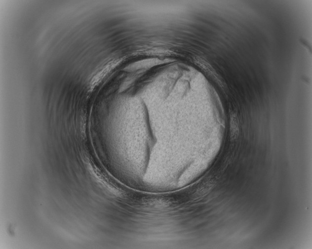 X0000101470533200807211338