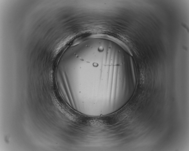 X0000101470535200807211338