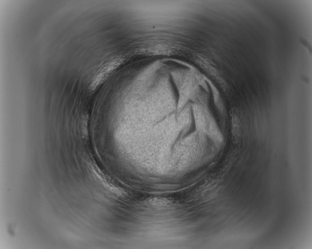 X0000101470537200807211339