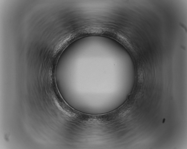 X0000101470538200807211339