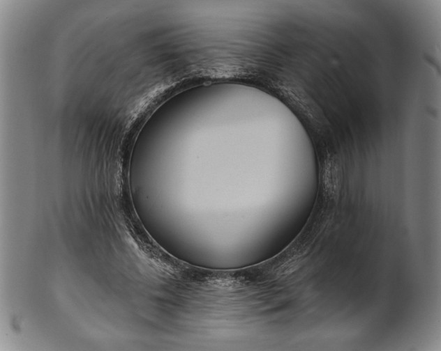 X0000101470540200807211339