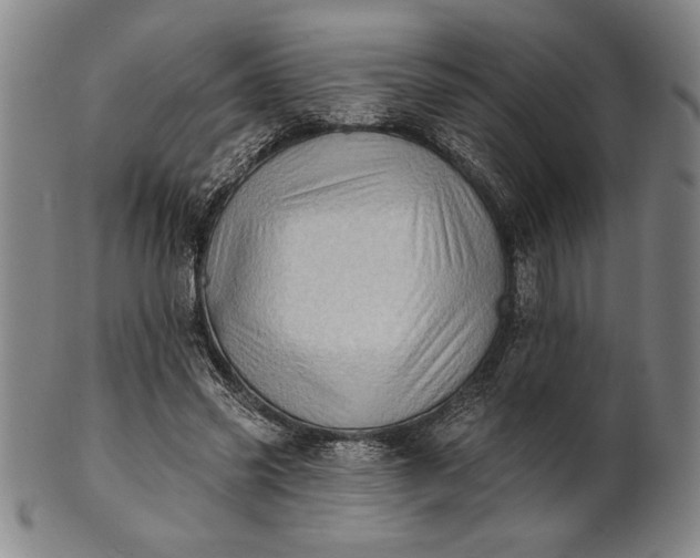 X0000101470541200807211339