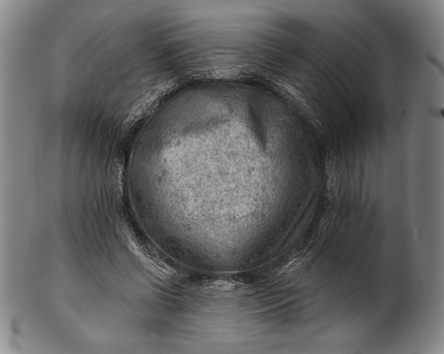 X0000101470542200807211339