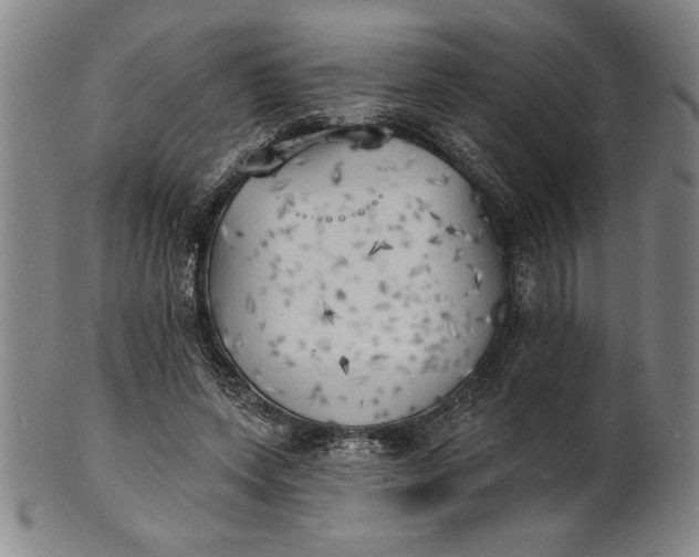 X0000101470543200807211339