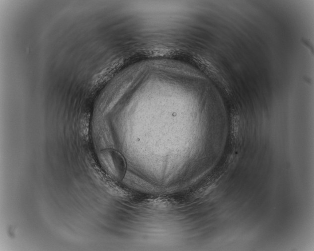 X0000101470545200807211339