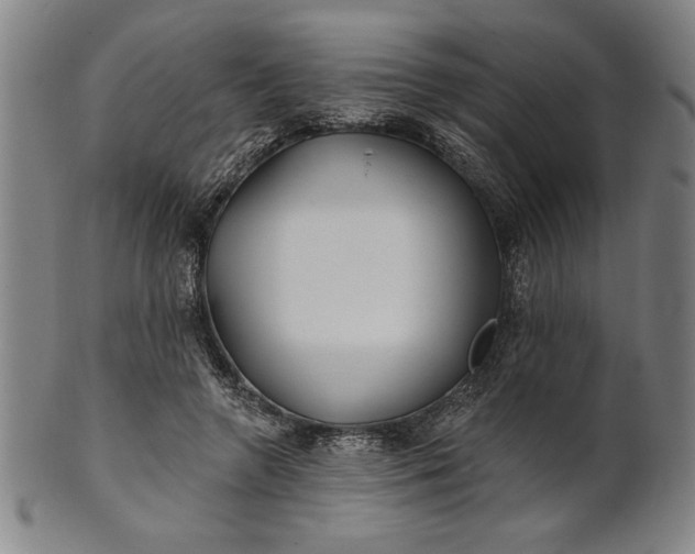 X0000101470546200807211339