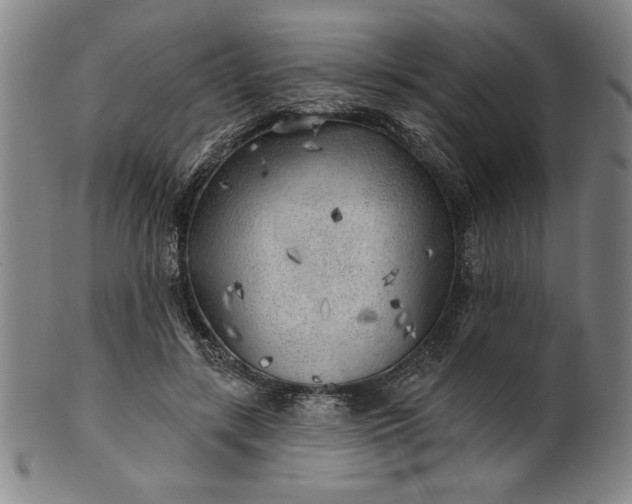 X0000101470547200807211339