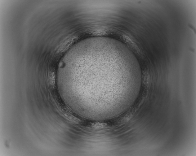 X0000101470549200807211339