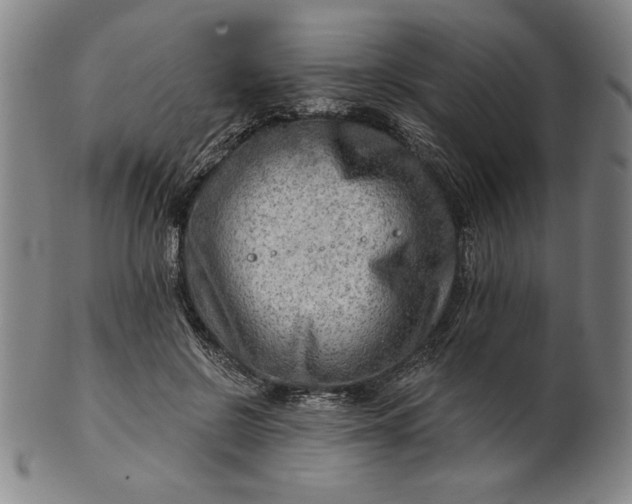 X0000101470550200807211339