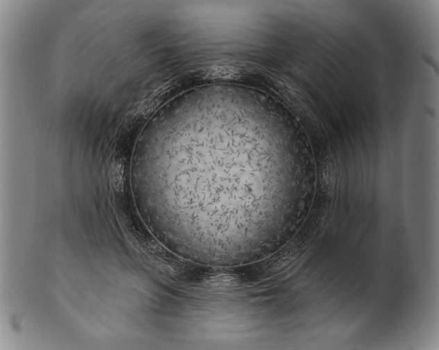 X0000101470551200807211339