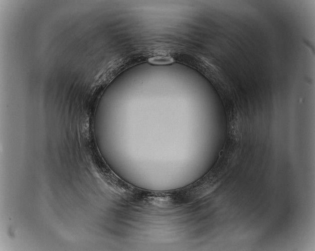 X0000101470552200807211339