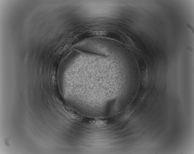 X0000101470553200807211339