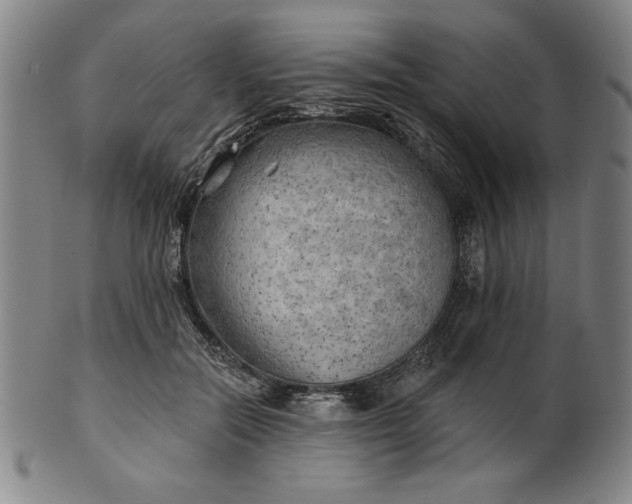 X0000101470554200807211339