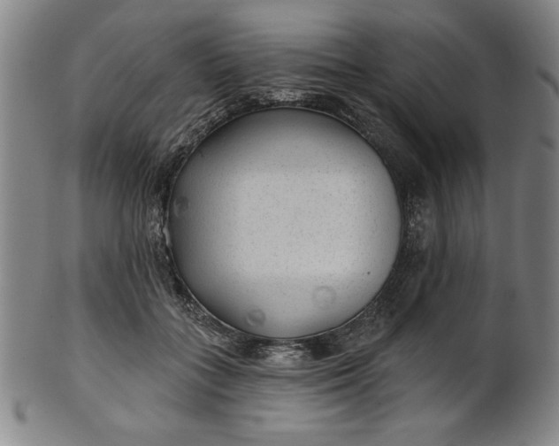 X0000101470555200807211339