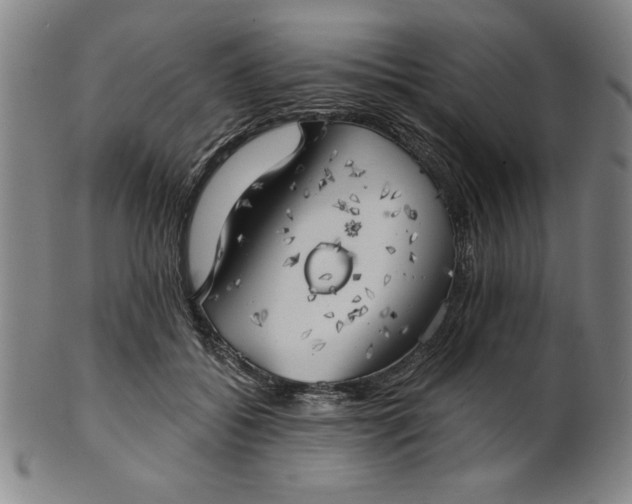 X0000101470556200807211339