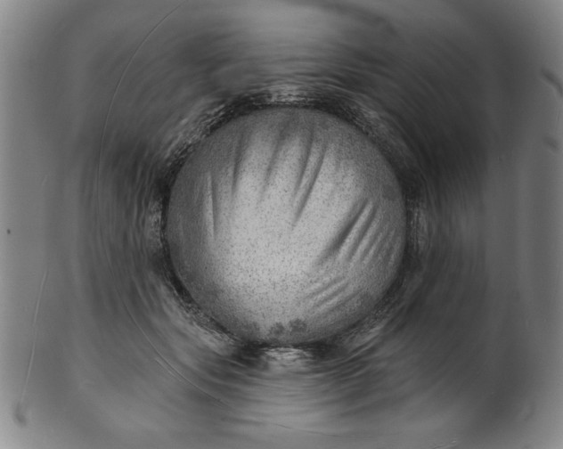 X0000101470557200807211339