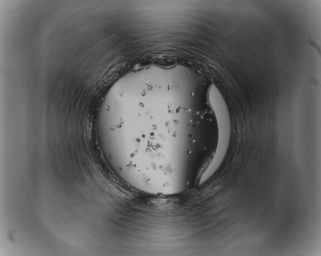 X0000101470558200807211339