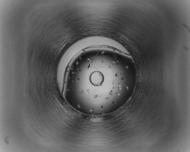 X0000101470560200807211339