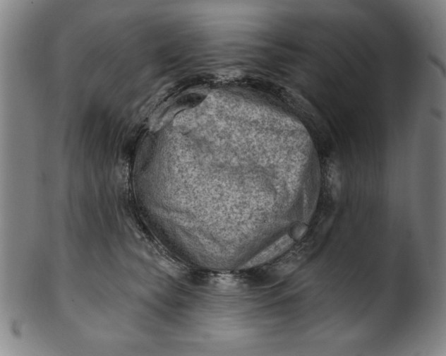 X0000101470565200807211339