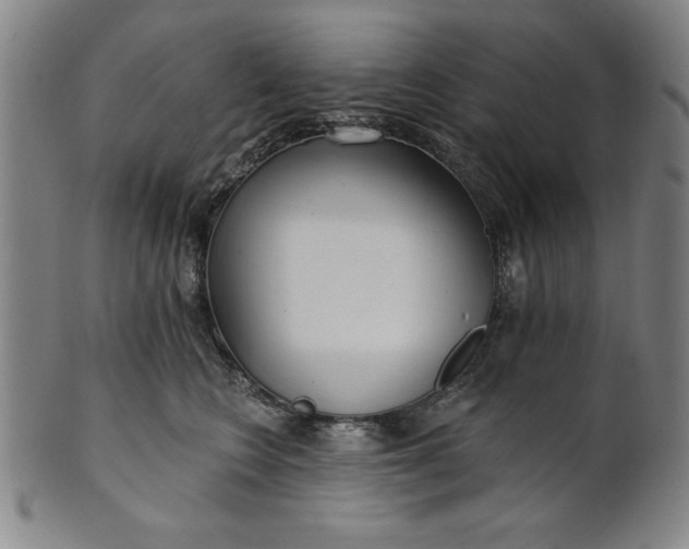 X0000101470566200807211339