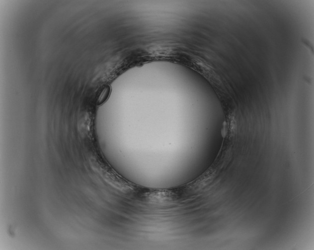 X0000101470567200807211339