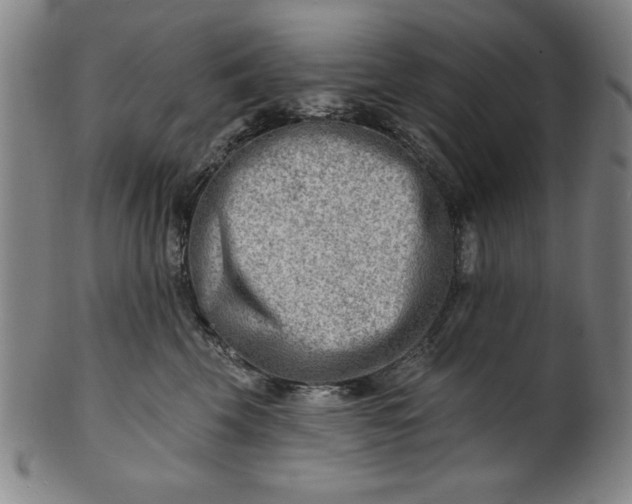 X0000101470569200807211339