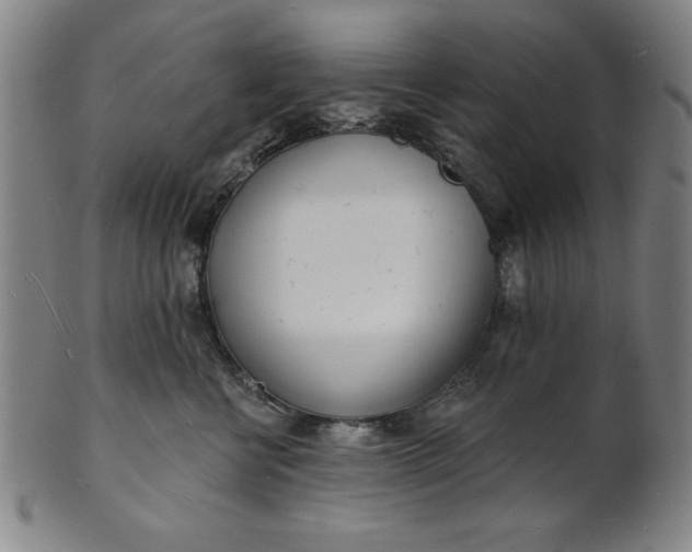 X0000101470570200807211339