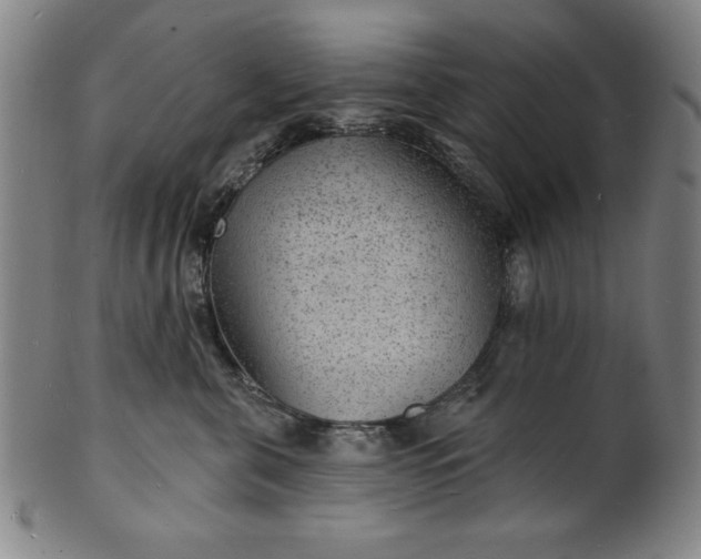 X0000101470571200807211339