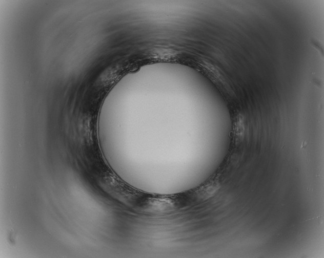 X0000101470572200807211339