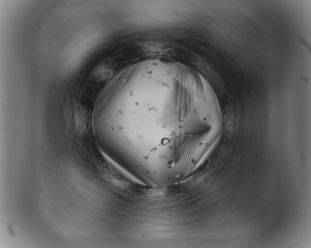 X0000101470574200807211339