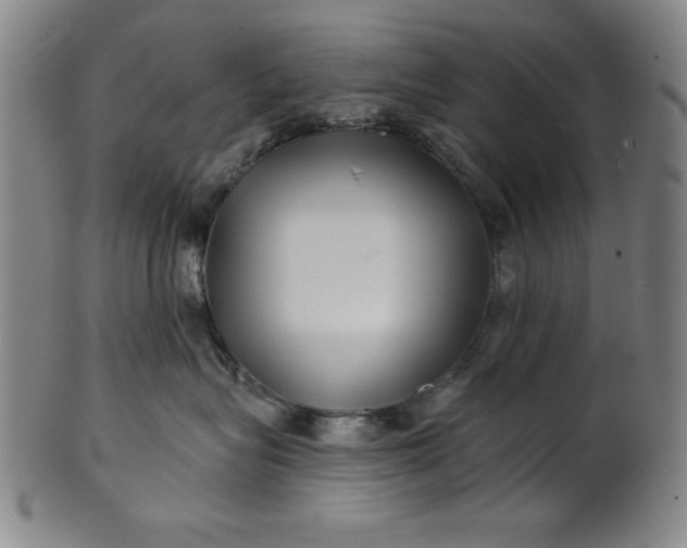 X0000101470575200807211339