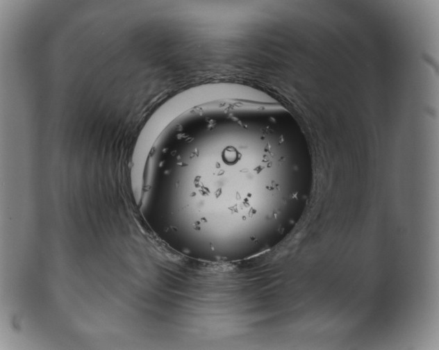 X0000101470576200807211339