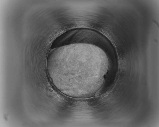 X0000101470577200807211338