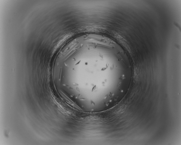 X0000101470578200807211338