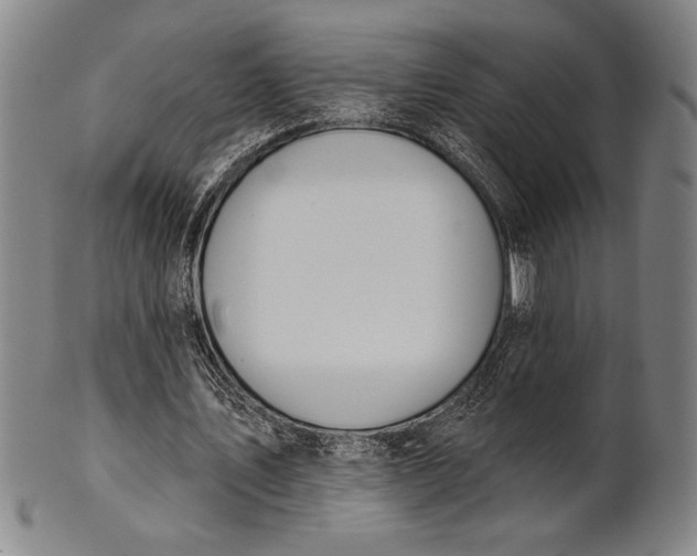 X0000101470579200807211338