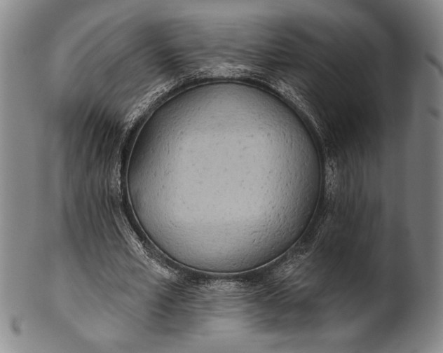 X0000101470581200807211338